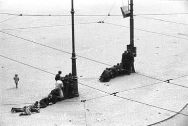 1933