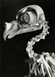 2511