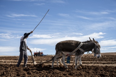 30360