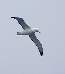 82