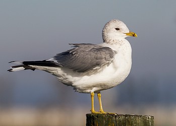 103051