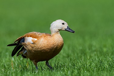 103904