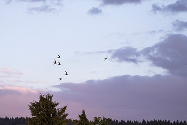106848