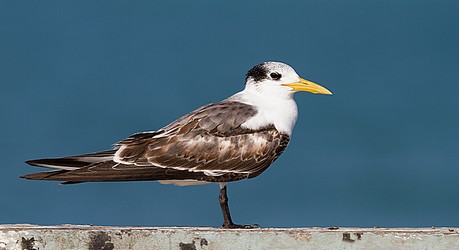 107577