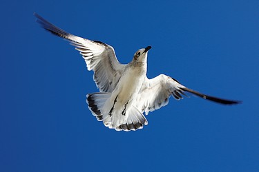 110521
