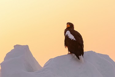 115581