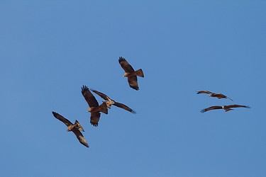 117583