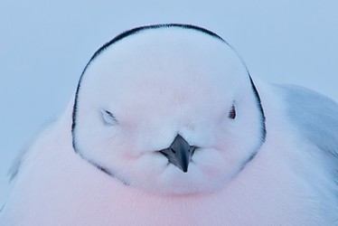 121597