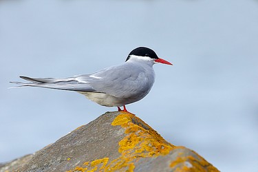 125189