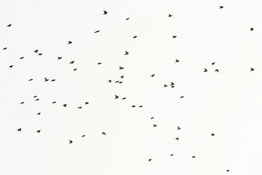 140369