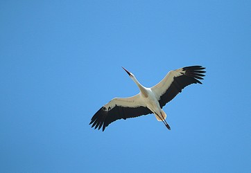 150351