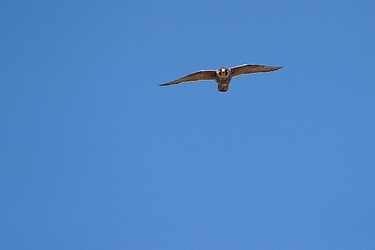 150755