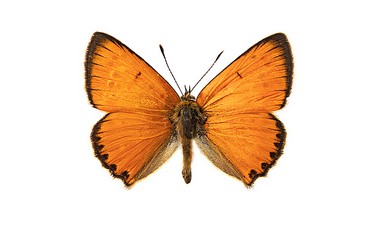 166106