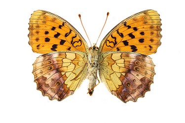 167213