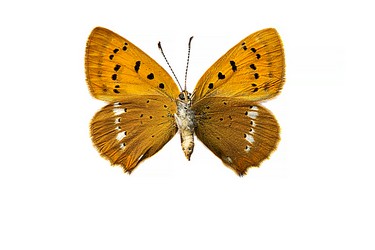 169587