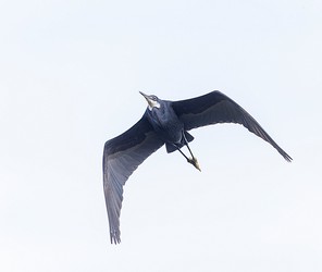 178075