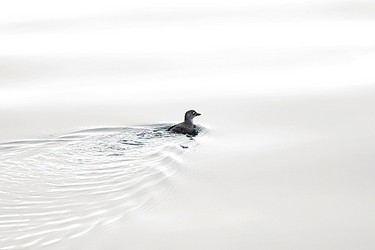 201677