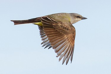209900