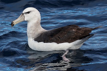 209901