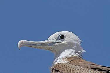210152