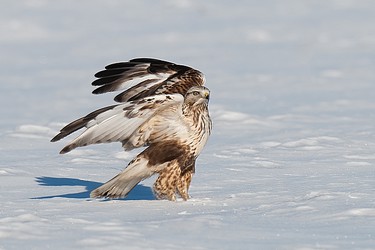 210741