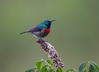 213050