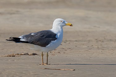 214053