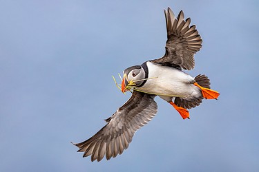 215189