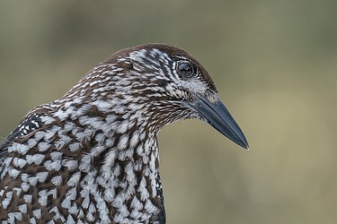 219573
