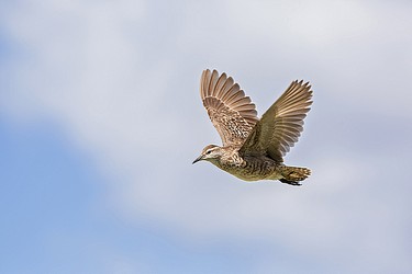 220551