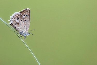 221656