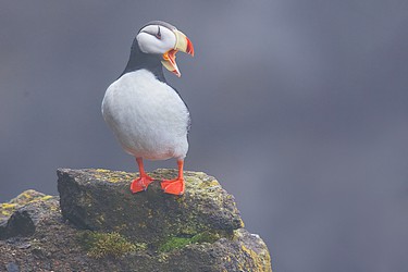 222558
