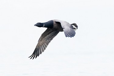 223564