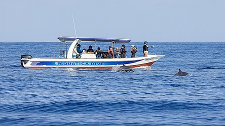 224042