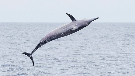 224060
