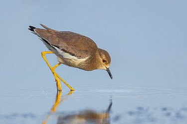 224248