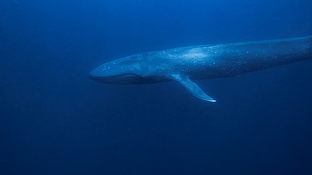 224630