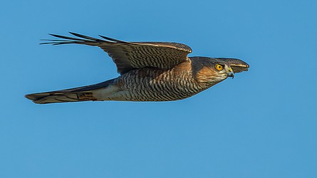 228057