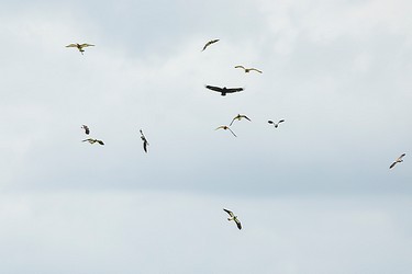 228081
