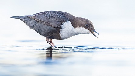 228368