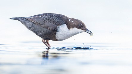 228370