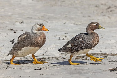 228873