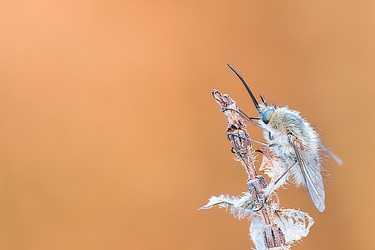 230121