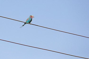 240350