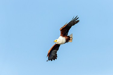 241649