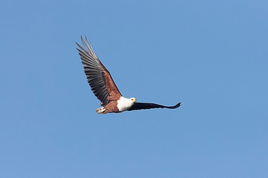 241650