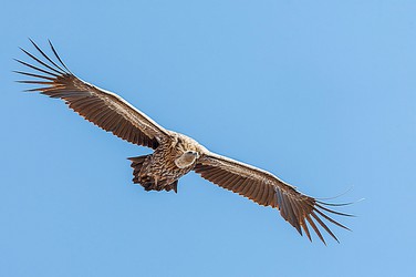 243193