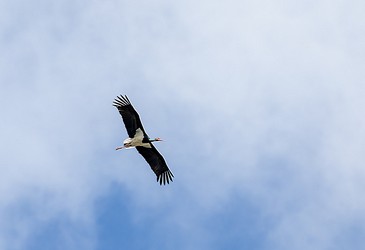 243569