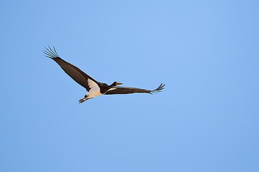 245458