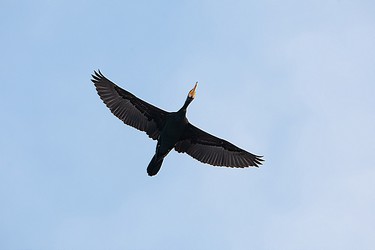245648
